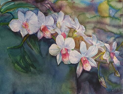 White Orchids van Olga Brink, Schilderij te koop op Singulart