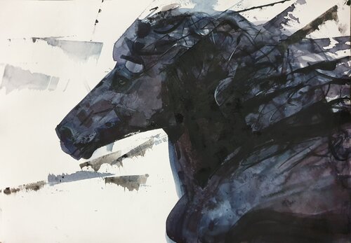 Black Horse van Olga Brink, Schilderij te koop op Singulart