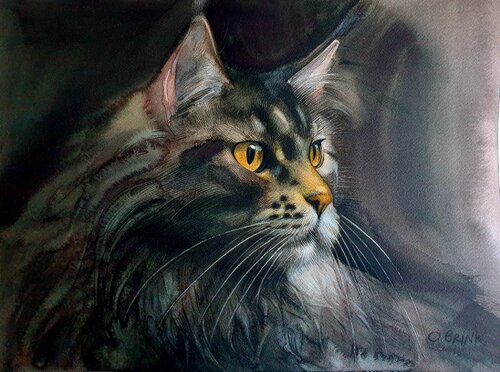 Maine Coon Cat (framed print) von Olga Brink, Druck kaufen auf Singulart