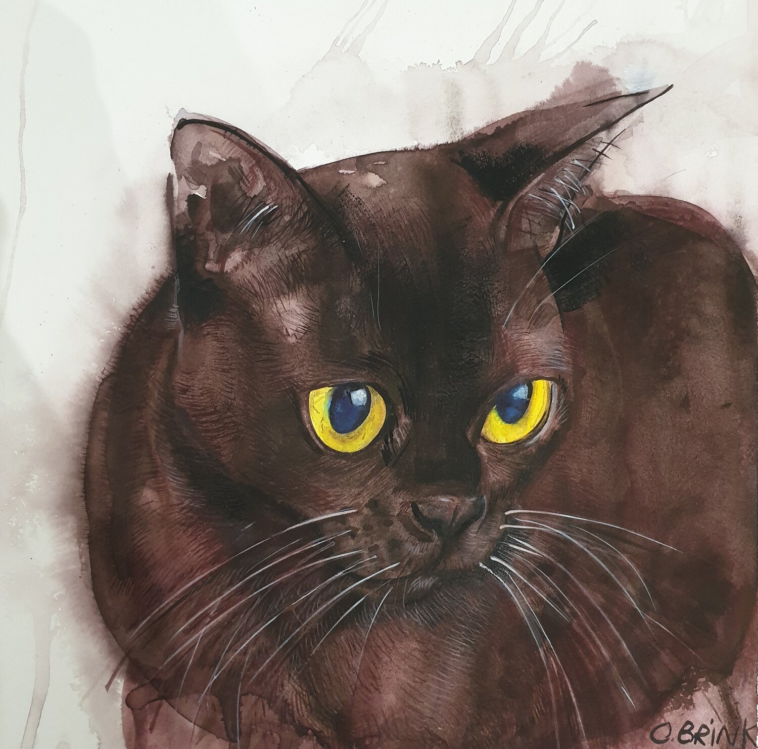 Burmese Cat Olga Brink