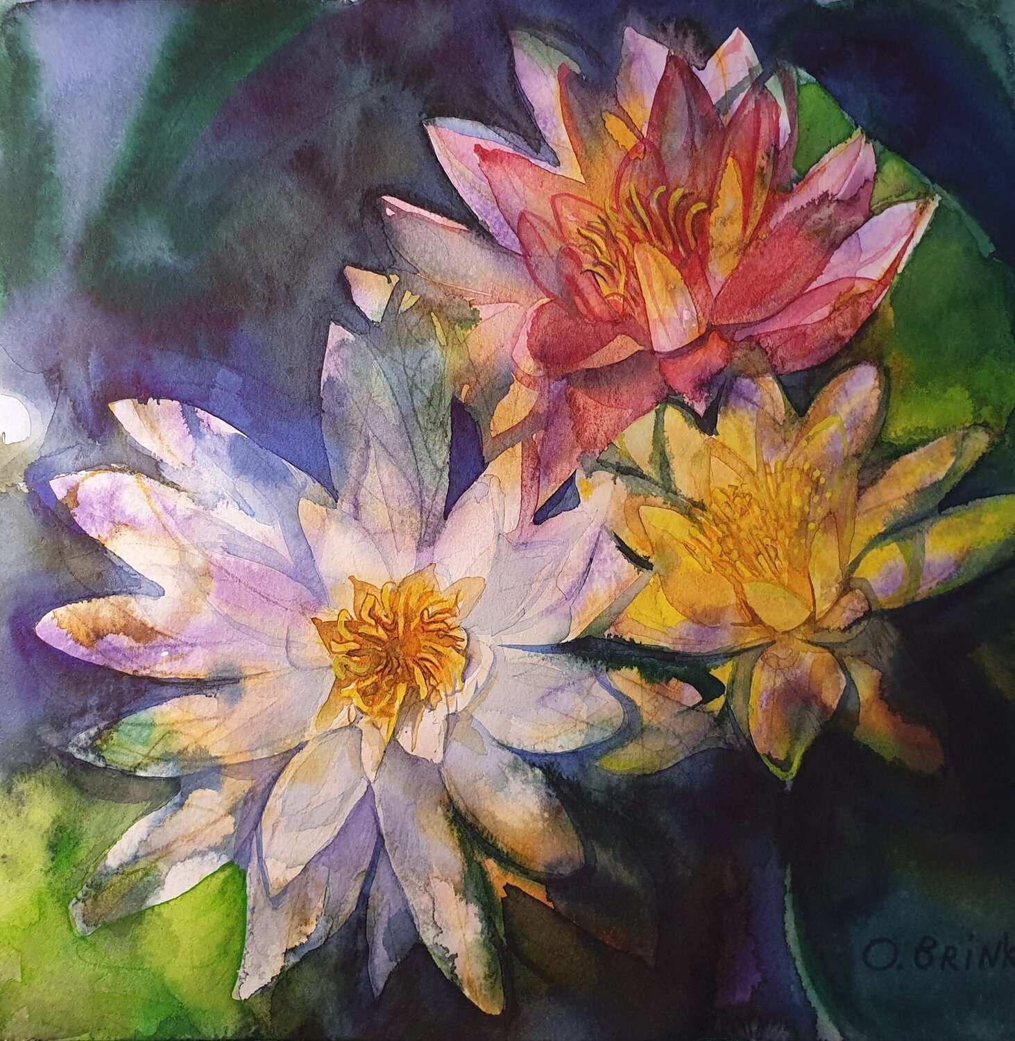 Lotus Olga Brink