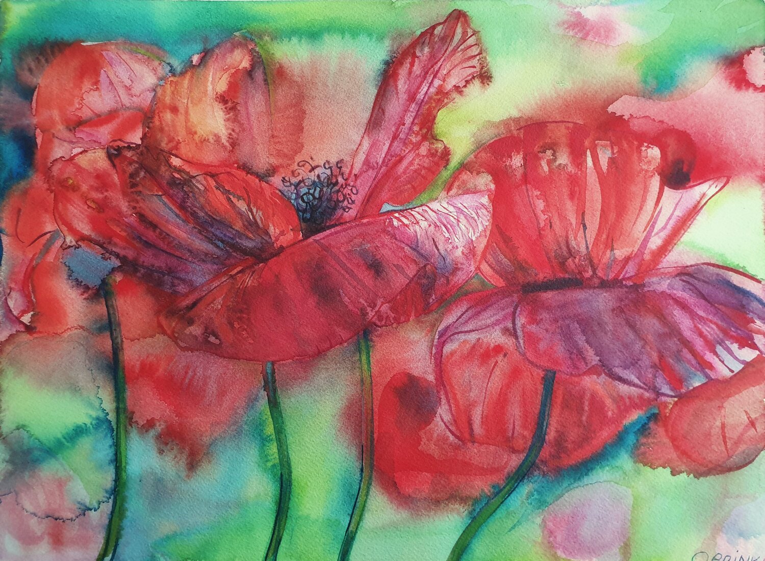 Red Poppy Olga Brink