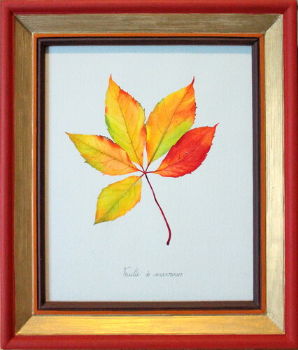 Feuille de Marronnier Charlène Chagnard