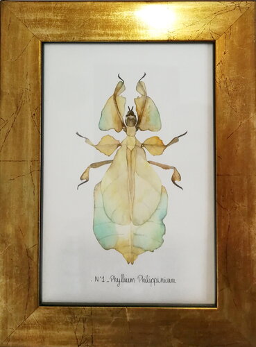 N°1_Phyllium pilippinicum von Charlène Chagnard, Malerei kaufen auf Singulart