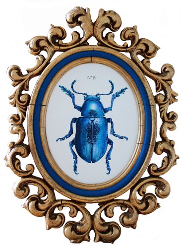N°15_Chrysochus asclepiadeus di Charlène Chagnard, Pittura in vendita su Singulart