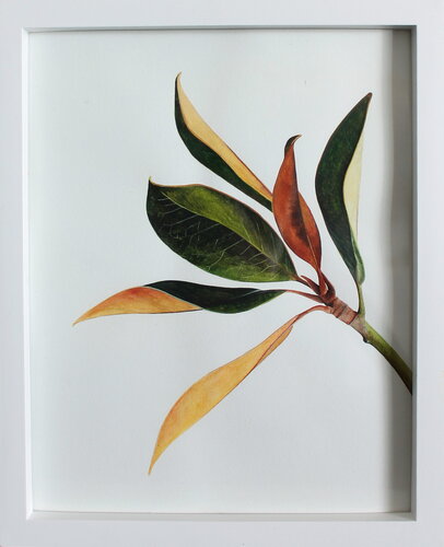 Feuille de Magnolia von Charlène Chagnard, Malerei kaufen auf Singulart