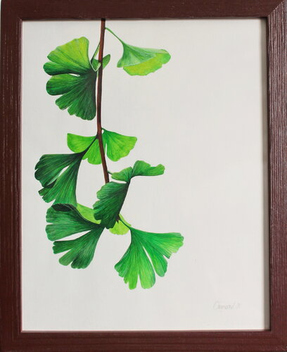 Feuille de Gingko von Charlène Chagnard, Malerei kaufen auf Singulart