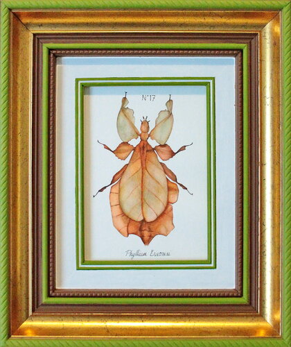 N°17_Phyllium ericoriai von Charlène Chagnard, Malerei kaufen auf Singulart