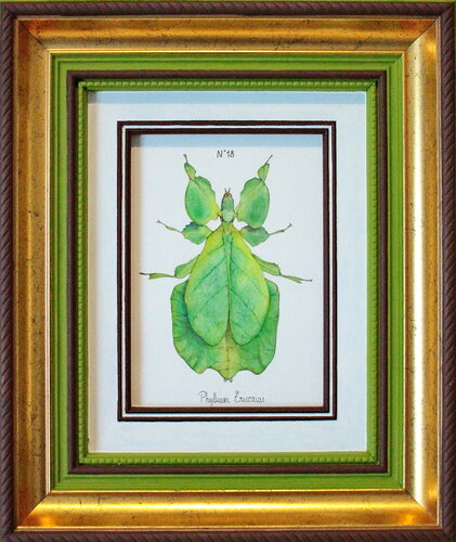 N°18_Phyllium ericoriai di Charlène Chagnard, Pittura in vendita su Singulart