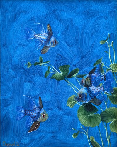Fish van Charlène Chagnard, Schilderij te koop op Singulart