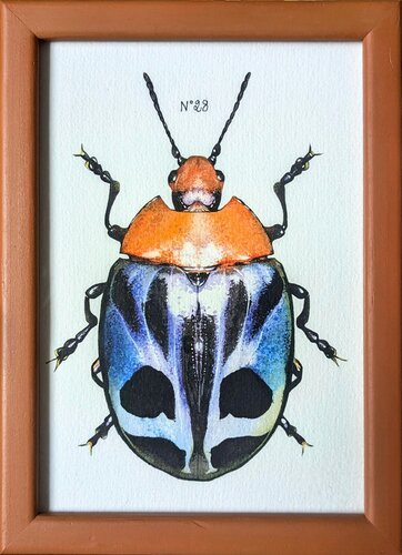 N°28_Erotylidae d'Equateur di Charlène Chagnard, Pittura in vendita su Singulart