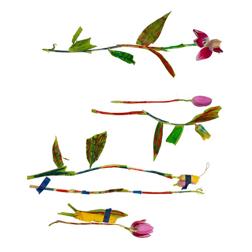 RE-flower 32 (no. 9) de Jan Skovgård, Fotografía a la venta en Singulart