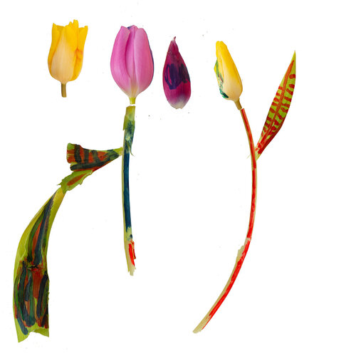 RE-flower 32 (no. 17) de Jan Skovgård, Fotografía a la venta en Singulart