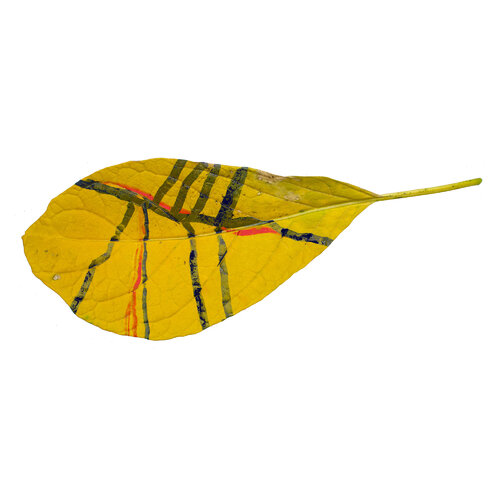 RE-flower 36 (no. 7) par Jan Skovgård, Autres supports en vente sur Singulart
