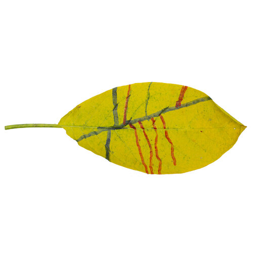 RE-flower 36 (no. 11) par Jan Skovgård, Autres supports en vente sur Singulart