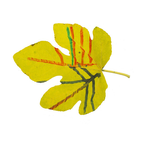 RE-flower 42 (no. 1) van Jan Skovgård, Digitaal te koop op Singulart