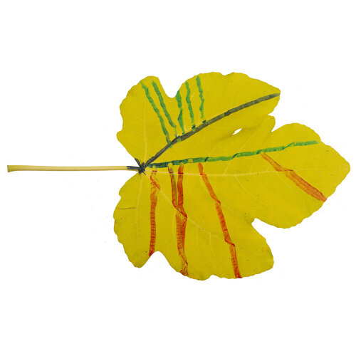 RE-flower 42 (no. 5) van Jan Skovgård, Digitaal te koop op Singulart