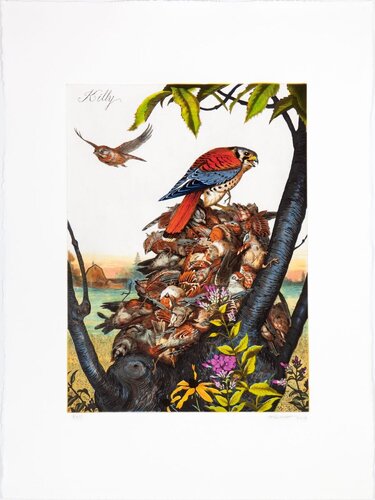 Killy by Walton Ford, Print for Sale on Singulart