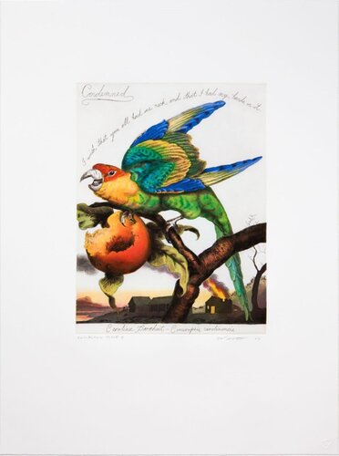 Condemned by Walton Ford, Print for Sale on Singulart