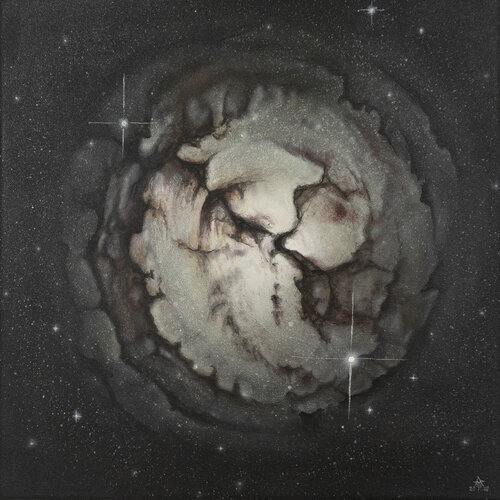 Universum Armin Maier