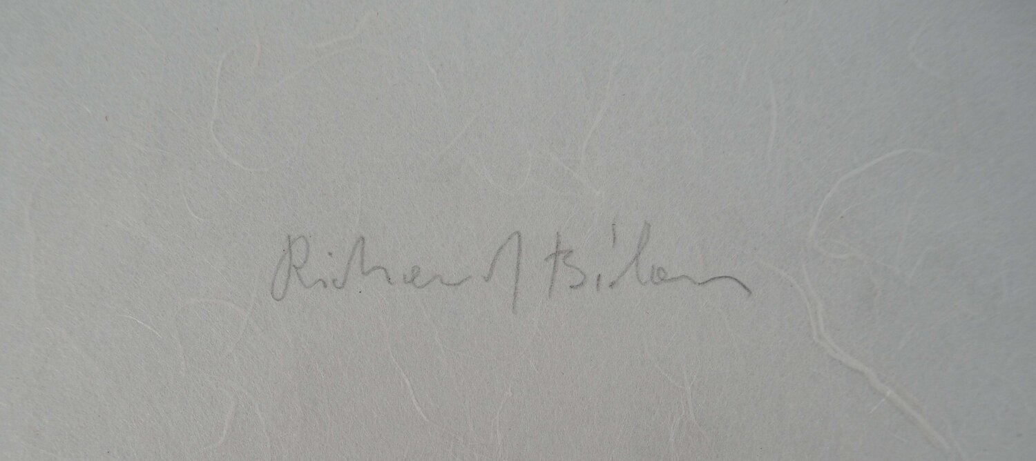 Soldat Richard Bilan Stampa in vendita