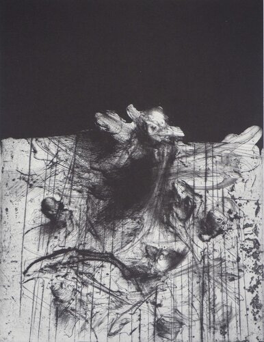 Surface tourmentée (Planche H. 4e état) van Miodrag Djuric, Afdruk te koop op Singulart