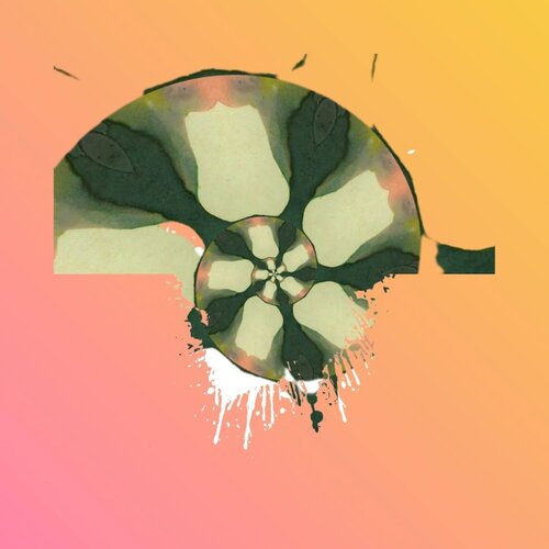 Mythological Mollusks di Natalia Fernández Díaz-Cabal, Digitale in vendita su Singulart