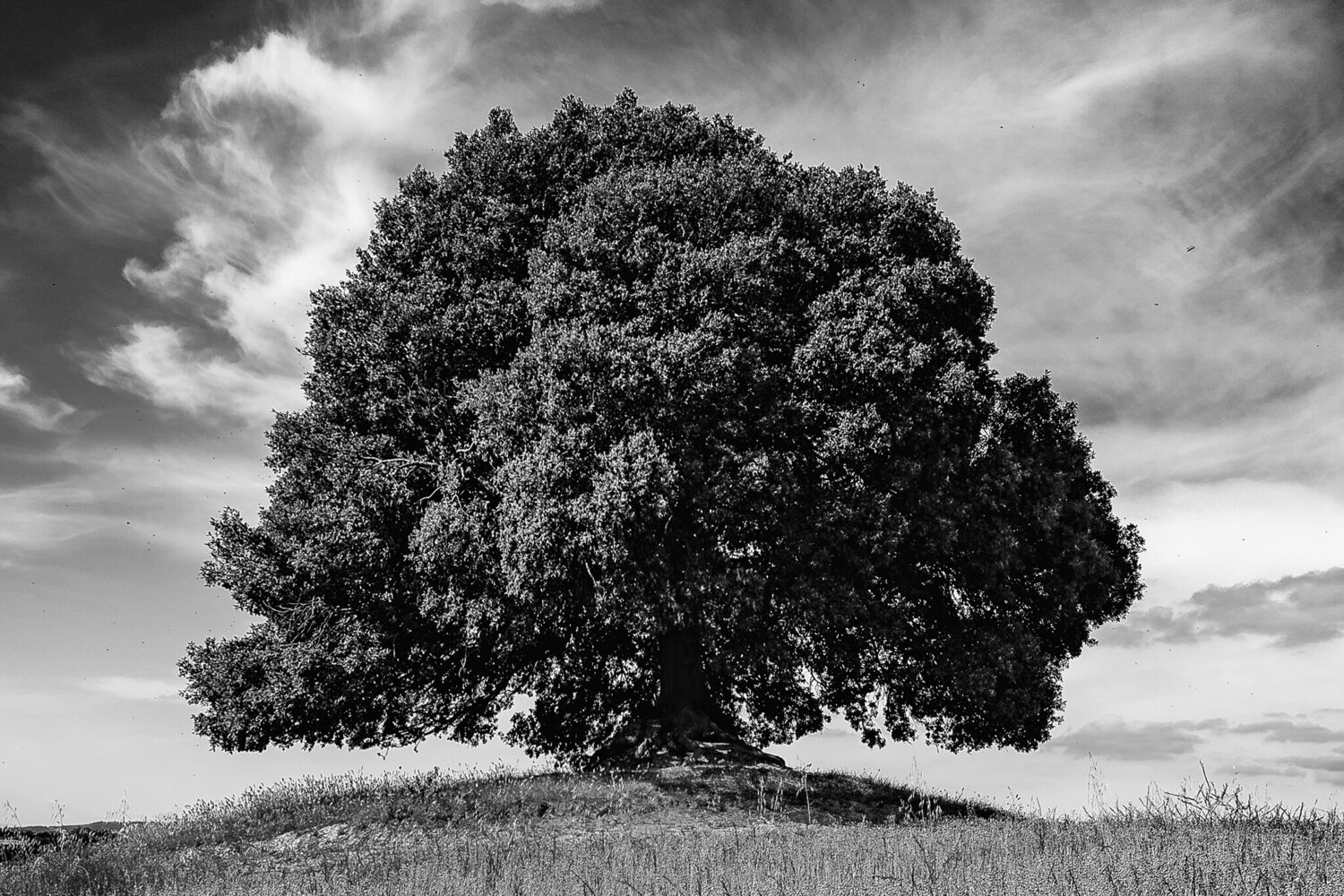 Paris - FvdV | Het reisblog bomvol met tips en inspiratie voor een verblijf  in Parijs: november 2017, image size:1500x1000