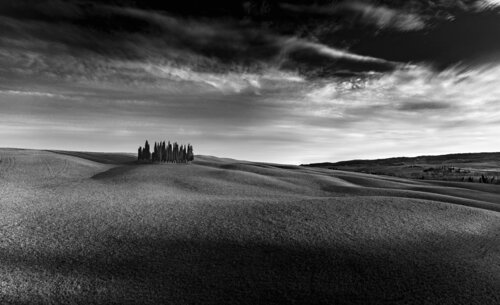 Cipressi di San Quirico D'Orcia "A2" von Giampaolo Antoni, Fotografie kaufen auf Singulart