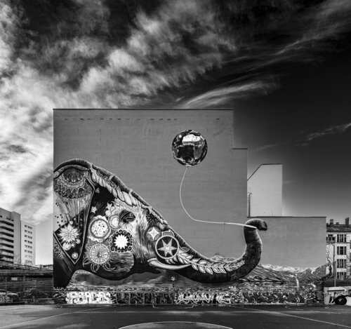 L'elefante di Jadore von Giampaolo Antoni, Fotografie kaufen auf Singulart