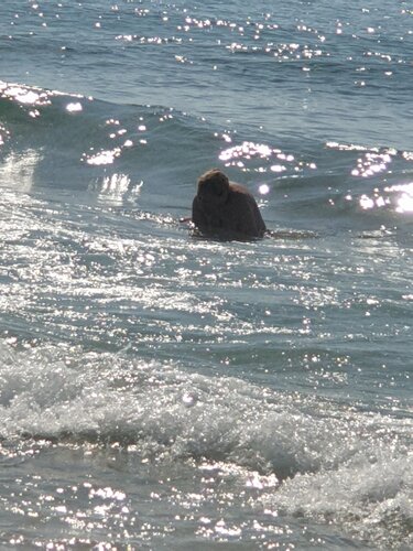 Recueillement von Juliette Wegrzyk, Fotografie kaufen auf Singulart