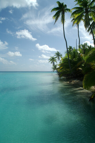 Lagon d'André by Claude de JOUVANCOURT, 사진 for Sale on Singulart