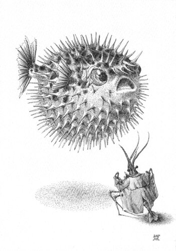 PUFFERFISH von Alex Bras, Zeichnungen kaufen auf Singulart