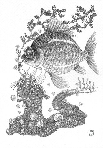 MRS CARP van Alex Bras, Tekening te koop op Singulart