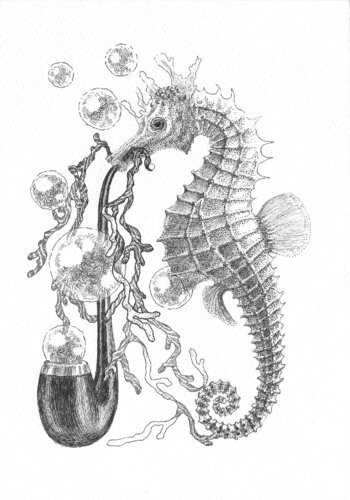 SEAHORSE von Alex Bras, Zeichnungen kaufen auf Singulart