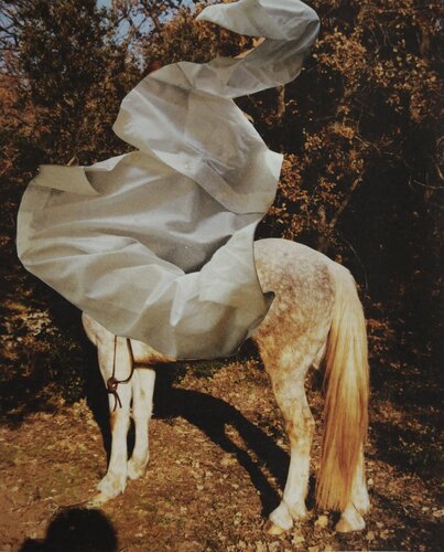 The rider (1) van Brigitte Peters, Werk op papier te koop op Singulart