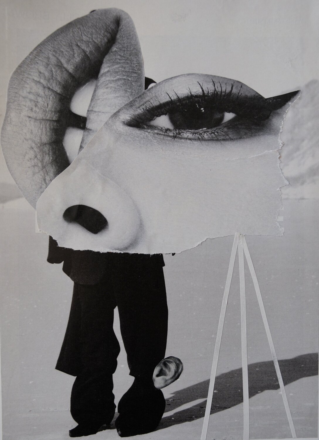 Confused Senses Brigitte Peters