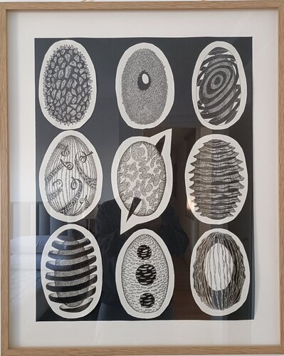 Eggs von Paolo Mohovich, Zeichnungen kaufen auf Singulart