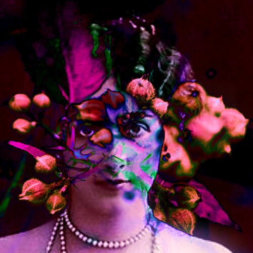 PIKOLETTA di Wally Leiking, Altri media in vendita su Singulart