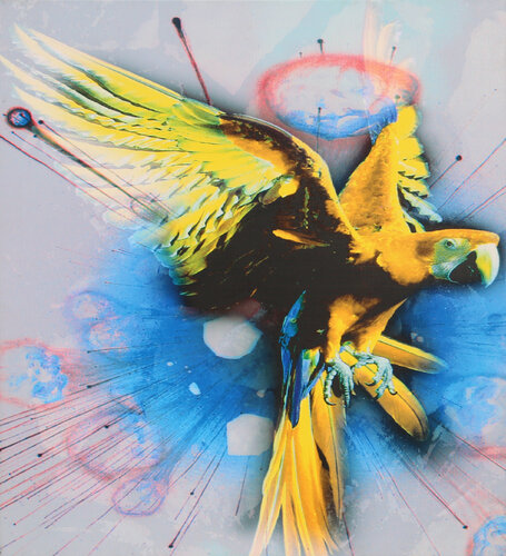 World Contender II von Michael Knigin, Druck kaufen auf Singulart