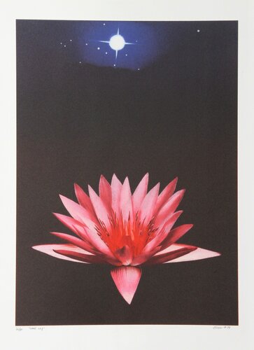 Lone Lily van Michael Knigin, Afdruk te koop op Singulart