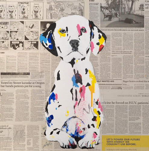 Dalmatian par Tomoya Nakano, Peinture en vente sur Singulart