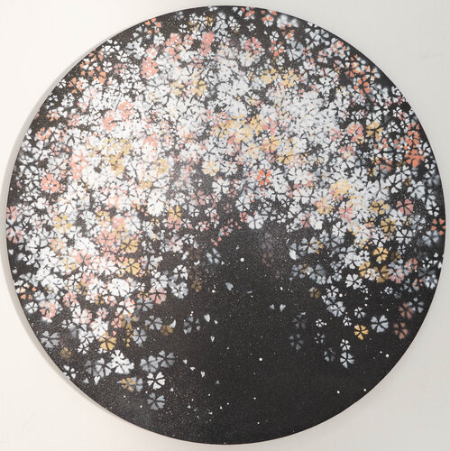 sakura Tomoya Nakano