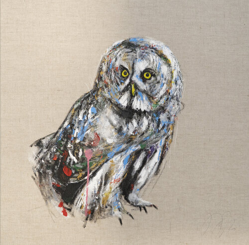 Owl van Tomoya Nakano, Schilderij te koop op Singulart