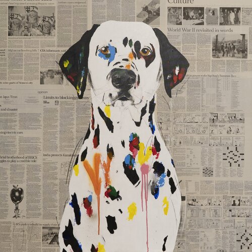 Dalmatian von Tomoya Nakano, Malerei kaufen auf Singulart