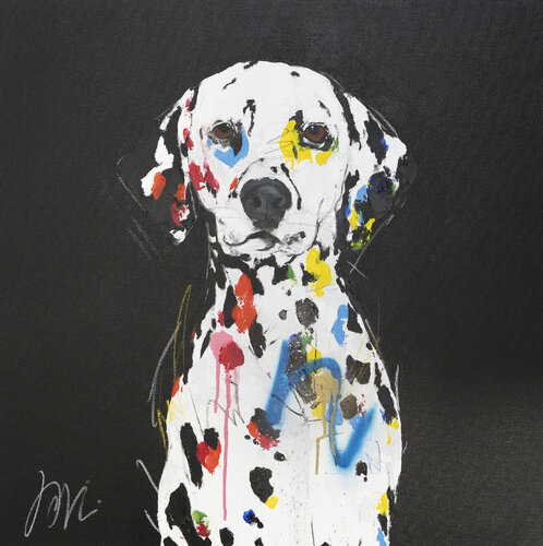 Dalmatian de Tomoya Nakano, Pintura a la venta en Singulart