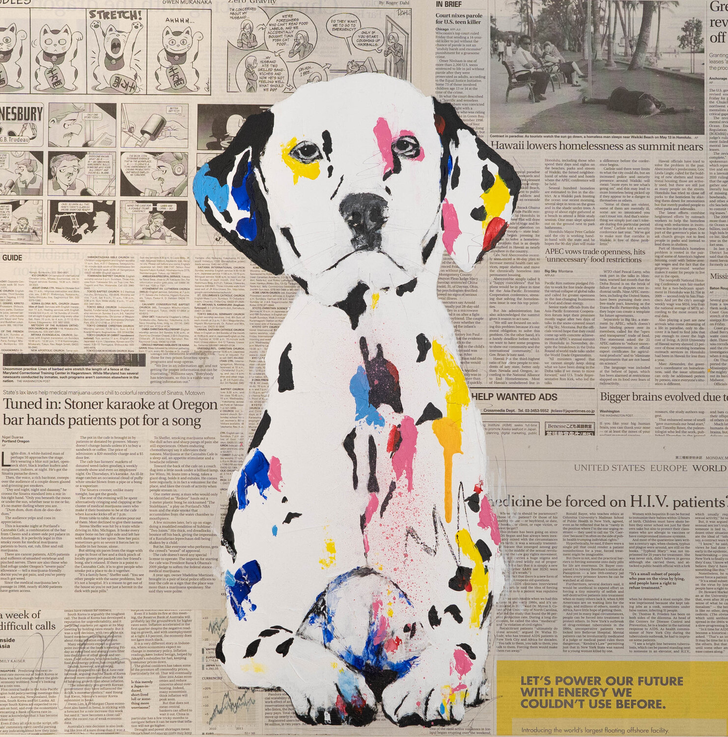 Dalmatian Tomoya Nakano