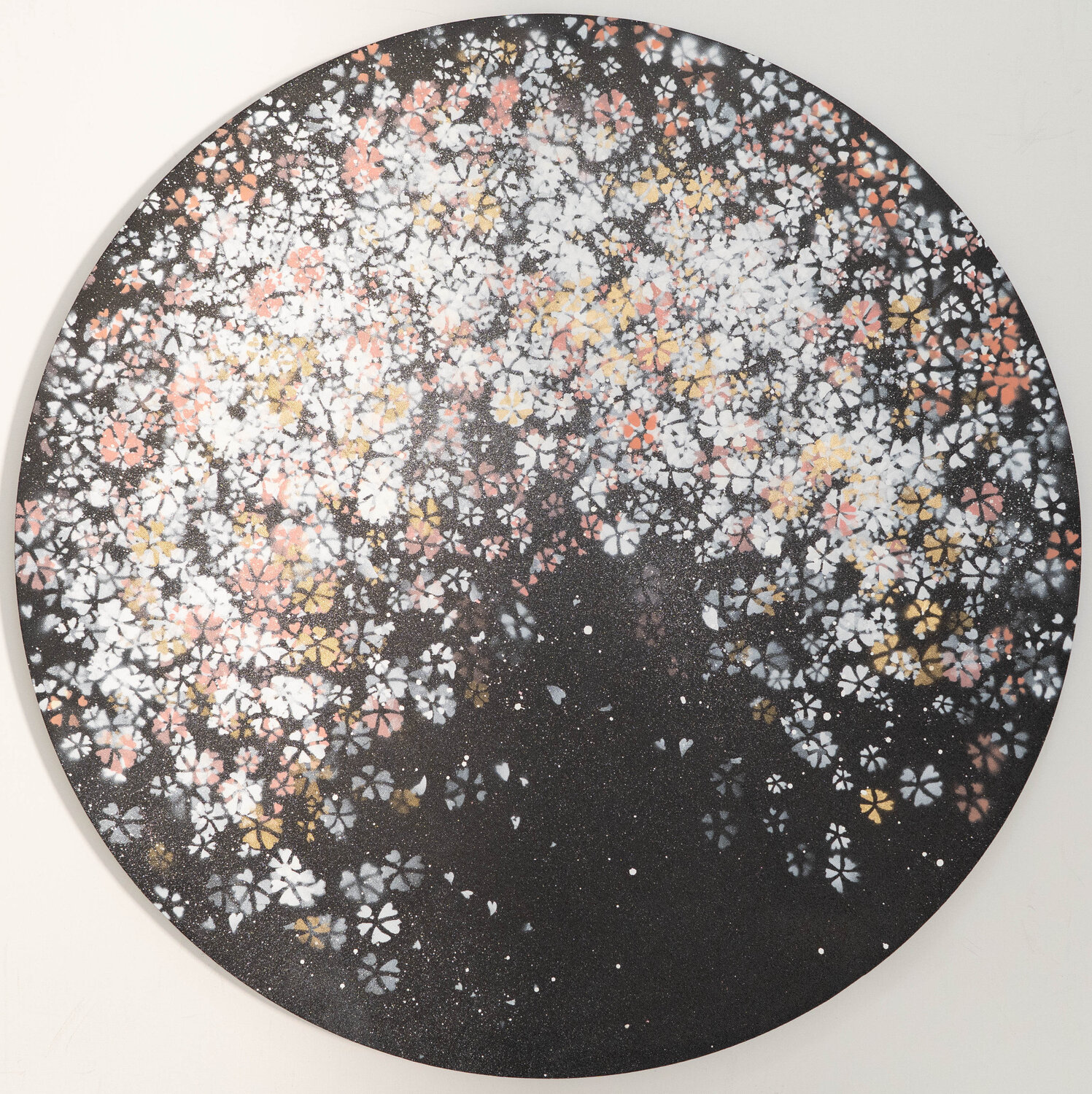 sakura Tomoya Nakano
