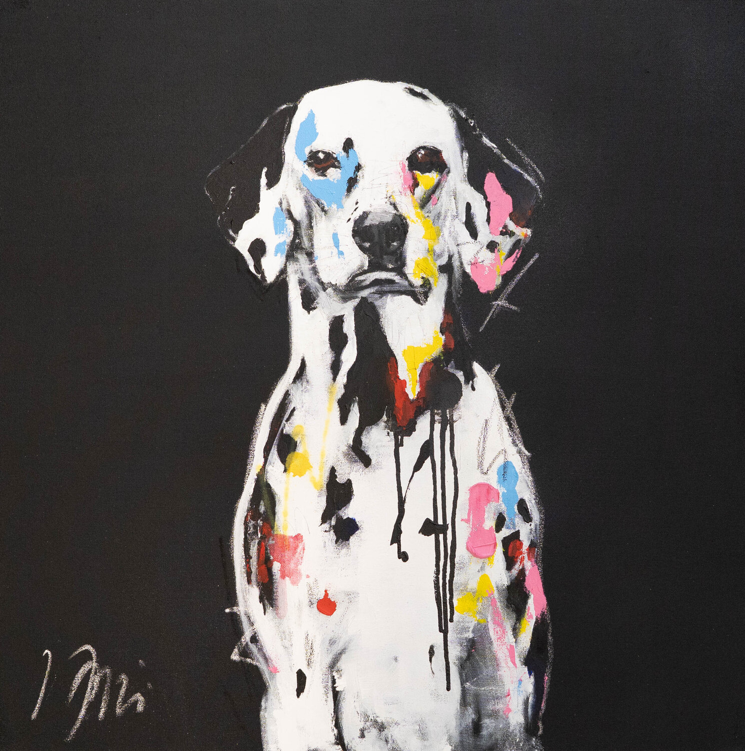 Dalmatian Tomoya Nakano
