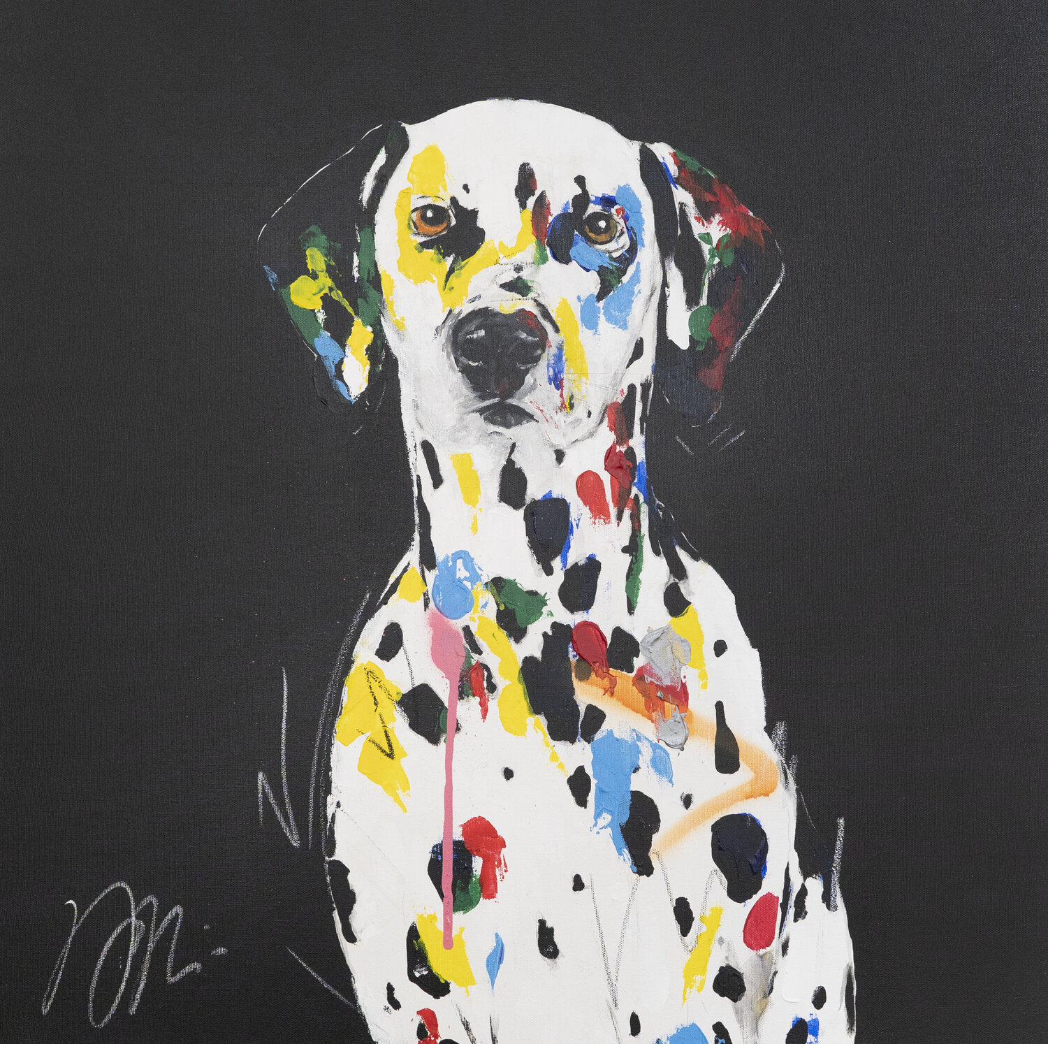 Dalmatian Tomoya Nakano